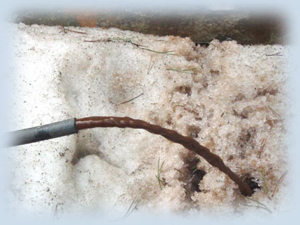 ������, �������, �������, ��������������, �������������, ������, �������, �����������, ����������, ������������, ��������, �������, ���������, �������������, �, �����, �������, ����, �����, ����������, ��������������, ������, ������, ����������, ������, �����, �����������, ������, ��������, �������, ����������, ������������