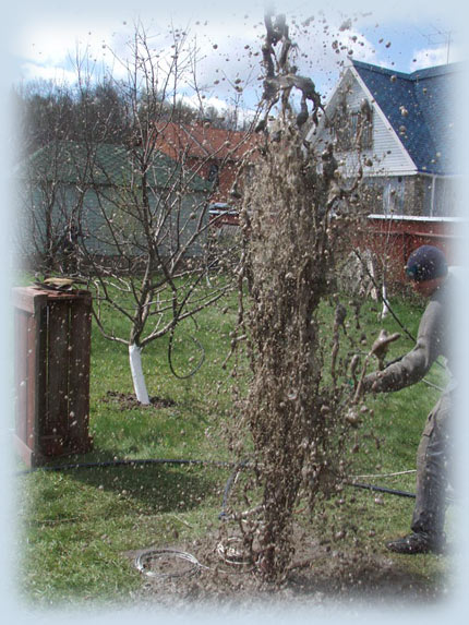 ������, �����, �����, �������, �������, �������, �������, ���������, ������������, ��������, �������, �������������, �������, �������, �������������, ������, �������, �������, ��������, ���������, ���������, �������, ������, �������, ���������, �����������, ���������, ����, ��������, ����������, �������������, ������������, ������, �������, �������