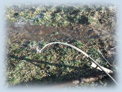 ������, �������, �������, ��������������, �������������, ������, �������, �����������, ����������, ������������, ��������, �������, ���������, �������������, �, �����, �������, ����, �����, ����������, ��������������, ������, ������, ����������, ������, �����, �����������, ������, ��������, �������, ����������, ������������